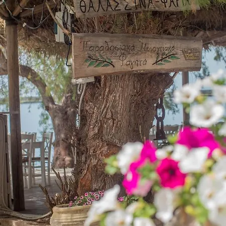 Daire Seafront Grace